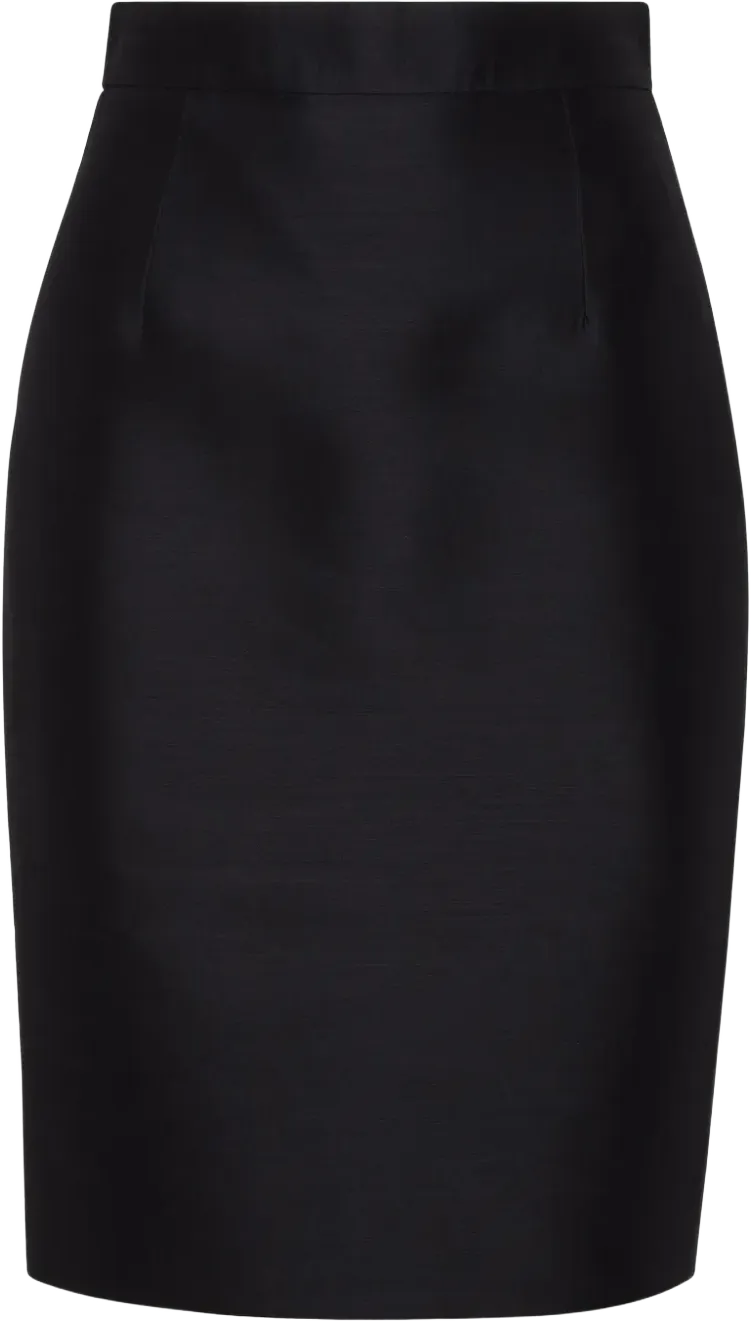 Dalma pencil skirt
